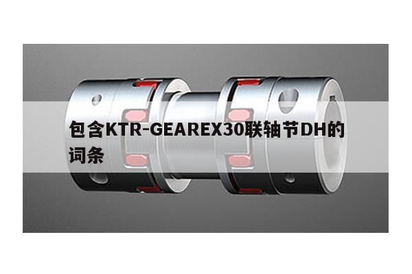包含KTR-GEAREX30联轴节DH的词条